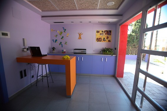 Foto trabajo 8
